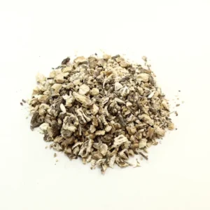 angelica raiz esotérica