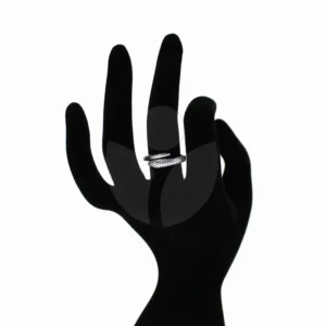 anillo de serpiente puesto