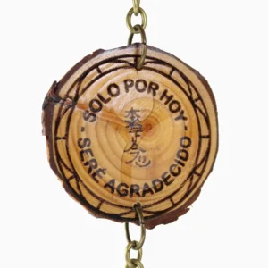 principio reiki sere agradecido