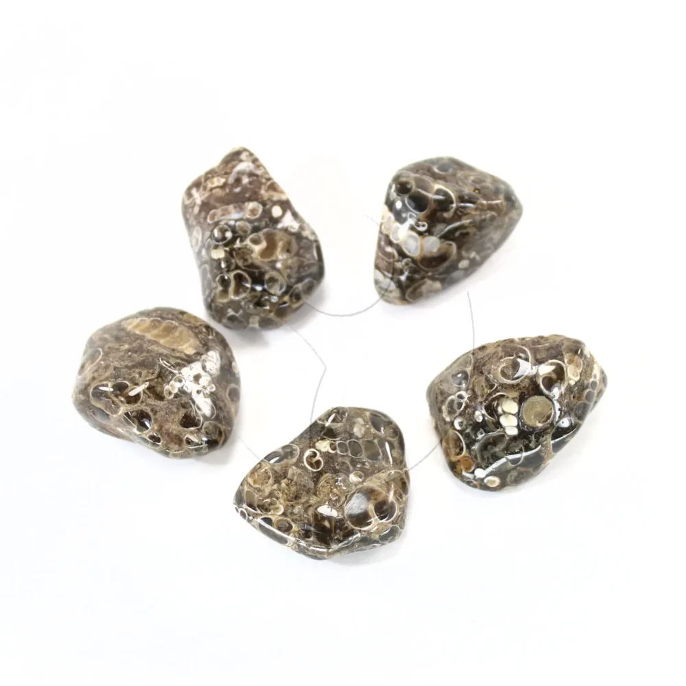 piedras turrutela